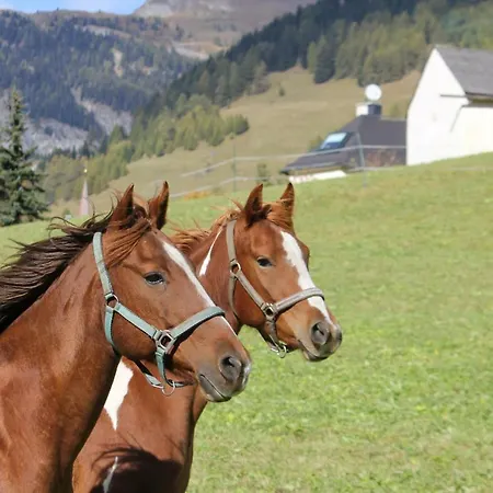 Schlossmuehle 公寓 *