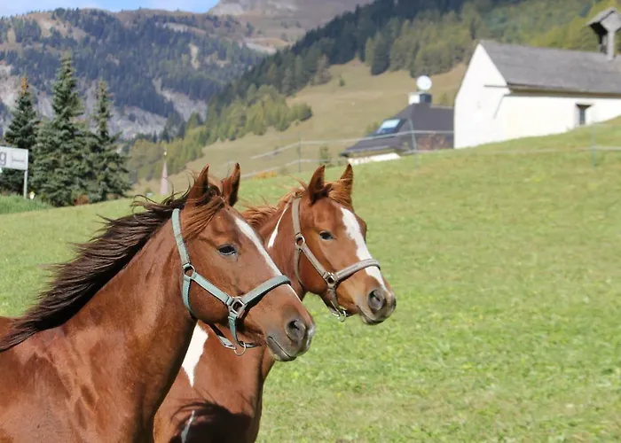 Schlossmuehle 公寓 *